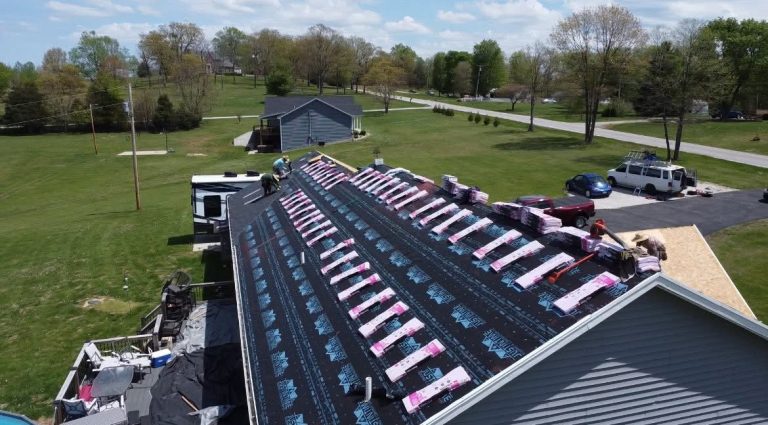 IMG 5340 2 1 768x425