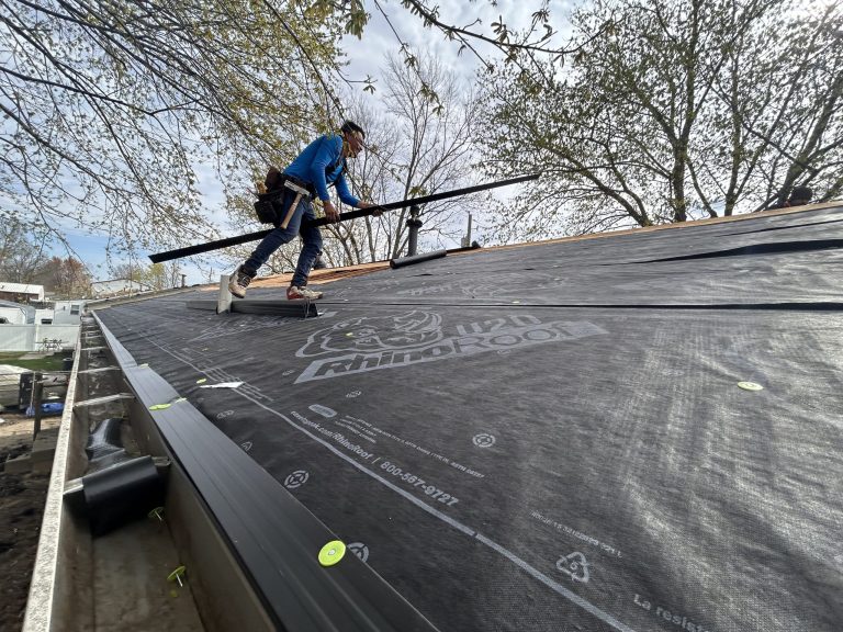 IMG 5637 scaled 1 768x576