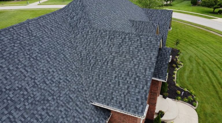 IMG 5867 2 1 768x425